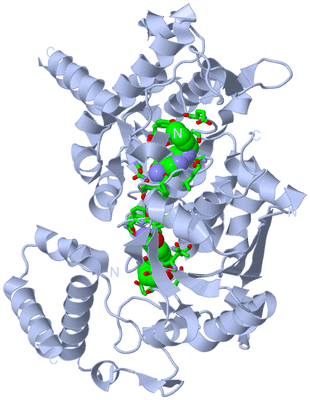 Image Biol. Unit 1 - sites