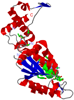 Image Asym. Unit - sites