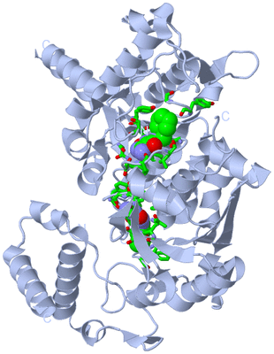 Image Biol. Unit 1 - sites