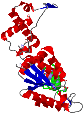 Image Asym. Unit - sites