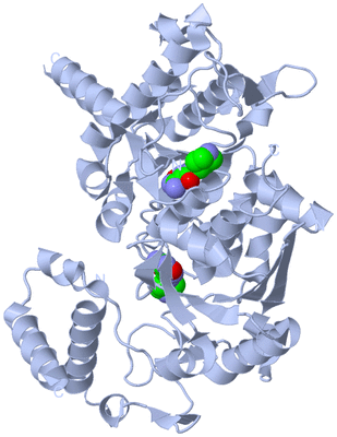 Image Biological Unit 1