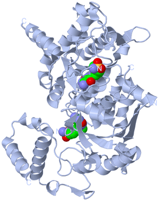 Image Biological Unit 1