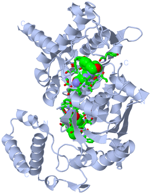 Image Biol. Unit 1 - sites