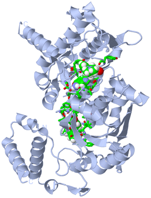 Image Biol. Unit 1 - sites