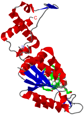 Image Asym. Unit - sites