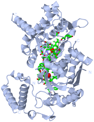 Image Biol. Unit 1 - sites