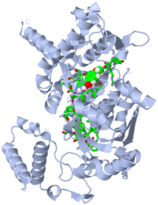 Image Biol. Unit 1 - sites