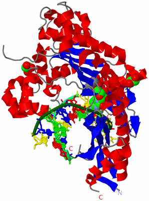 Image Asym./Biol. Unit