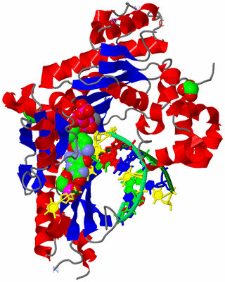 Image Asym./Biol. Unit