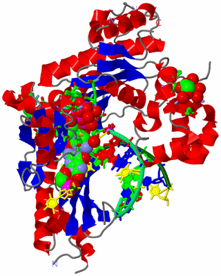 Image Asym./Biol. Unit - sites