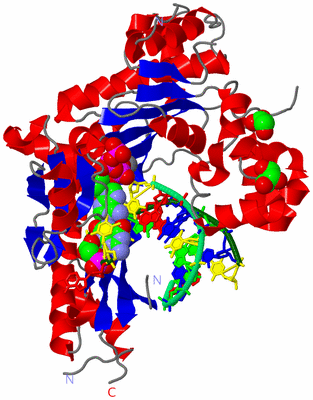 Image Asym./Biol. Unit