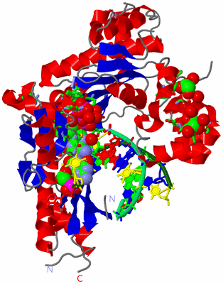 Image Asym./Biol. Unit - sites