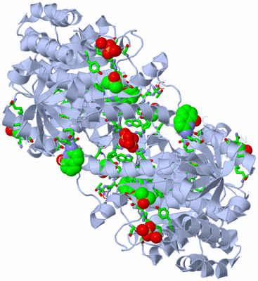 Image Biol. Unit 1 - sites