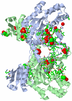 Image Biol. Unit 1 - sites