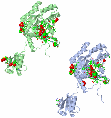 Image Asym. Unit - sites