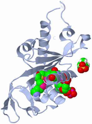 Image Biological Unit 1