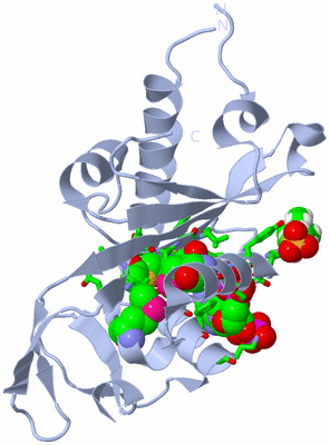 Image Biol. Unit 1 - sites