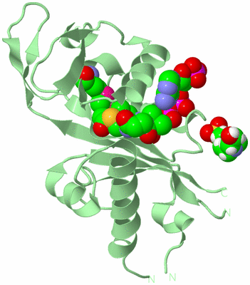 Image Biological Unit 2