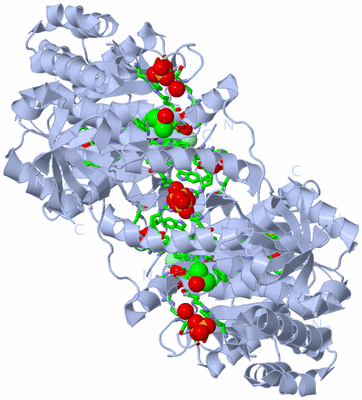 Image Biol. Unit 1 - sites