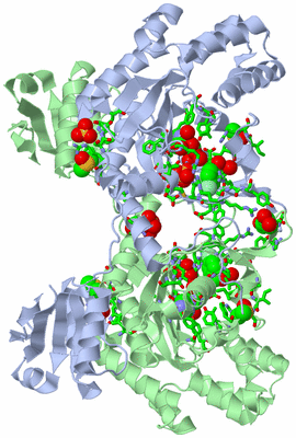 Image Biol. Unit 1 - sites