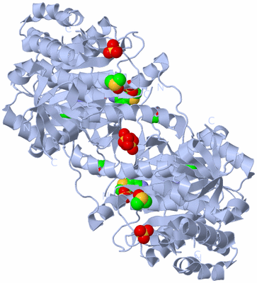 Image Biological Unit 1