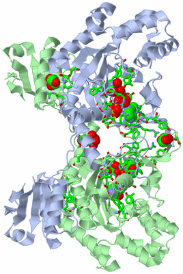 Image Biol. Unit 1 - sites