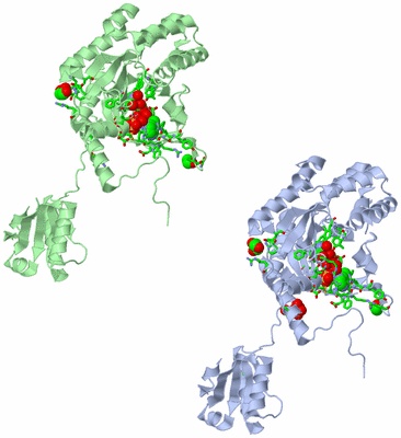 Image Asym. Unit - sites