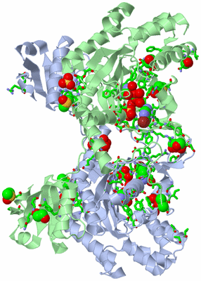 Image Biol. Unit 1 - sites