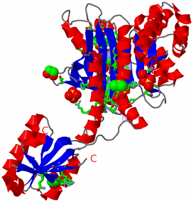 Image Asym. Unit - sites