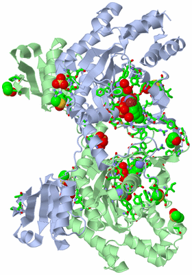 Image Biol. Unit 1 - sites