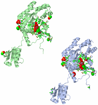 Image Asym. Unit - sites