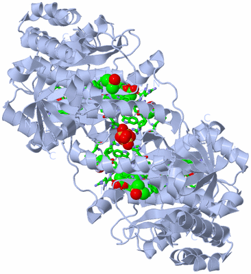 Image Biol. Unit 1 - sites