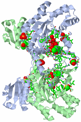 Image Biol. Unit 1 - sites