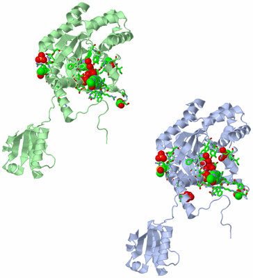 Image Asym. Unit - sites