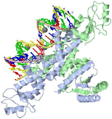 Image Asym./Biol. Unit