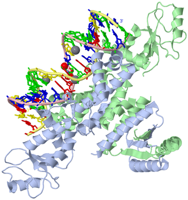 Image Asym./Biol. Unit - sites