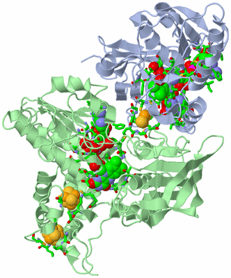 Image Biol. Unit 1 - sites