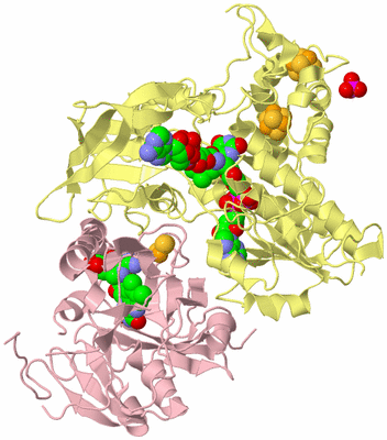 Image Biological Unit 2