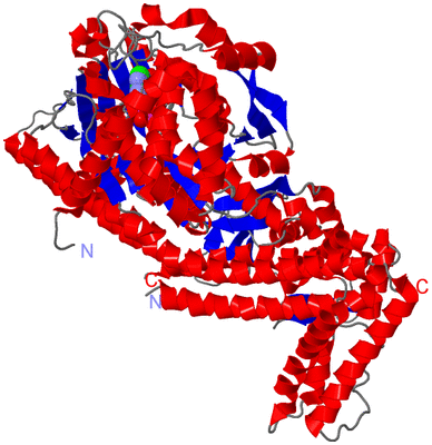 Image Asym./Biol. Unit