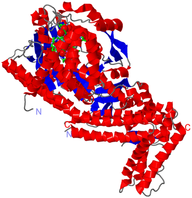 Image Asym./Biol. Unit - sites