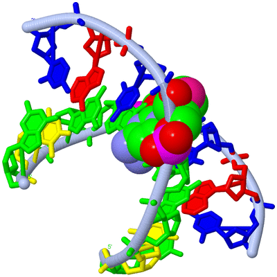 Image Biological Unit 1