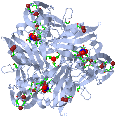 Image Biol. Unit 1 - sites