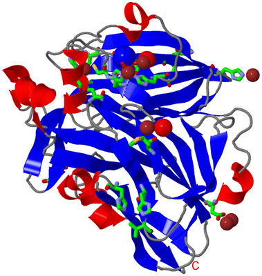 Image Asym. Unit - sites