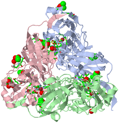 Image Asym./Biol. Unit - sites