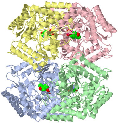 Image Asym./Biol. Unit