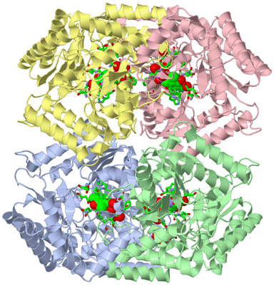 Image Asym./Biol. Unit - sites