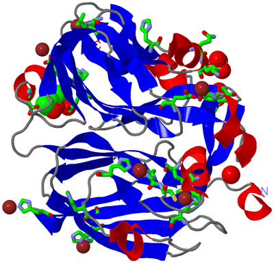 Image Asym. Unit - sites