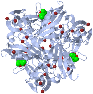 Image Biological Unit 1