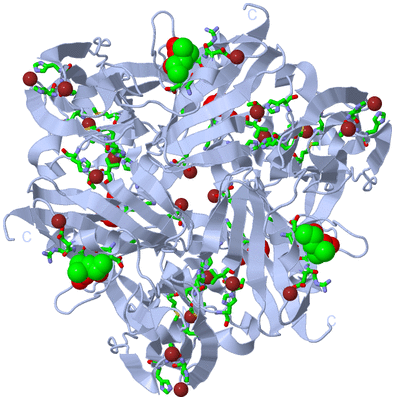 Image Biol. Unit 1 - sites