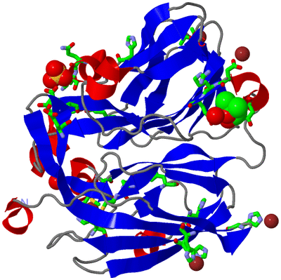 Image Asym. Unit - sites